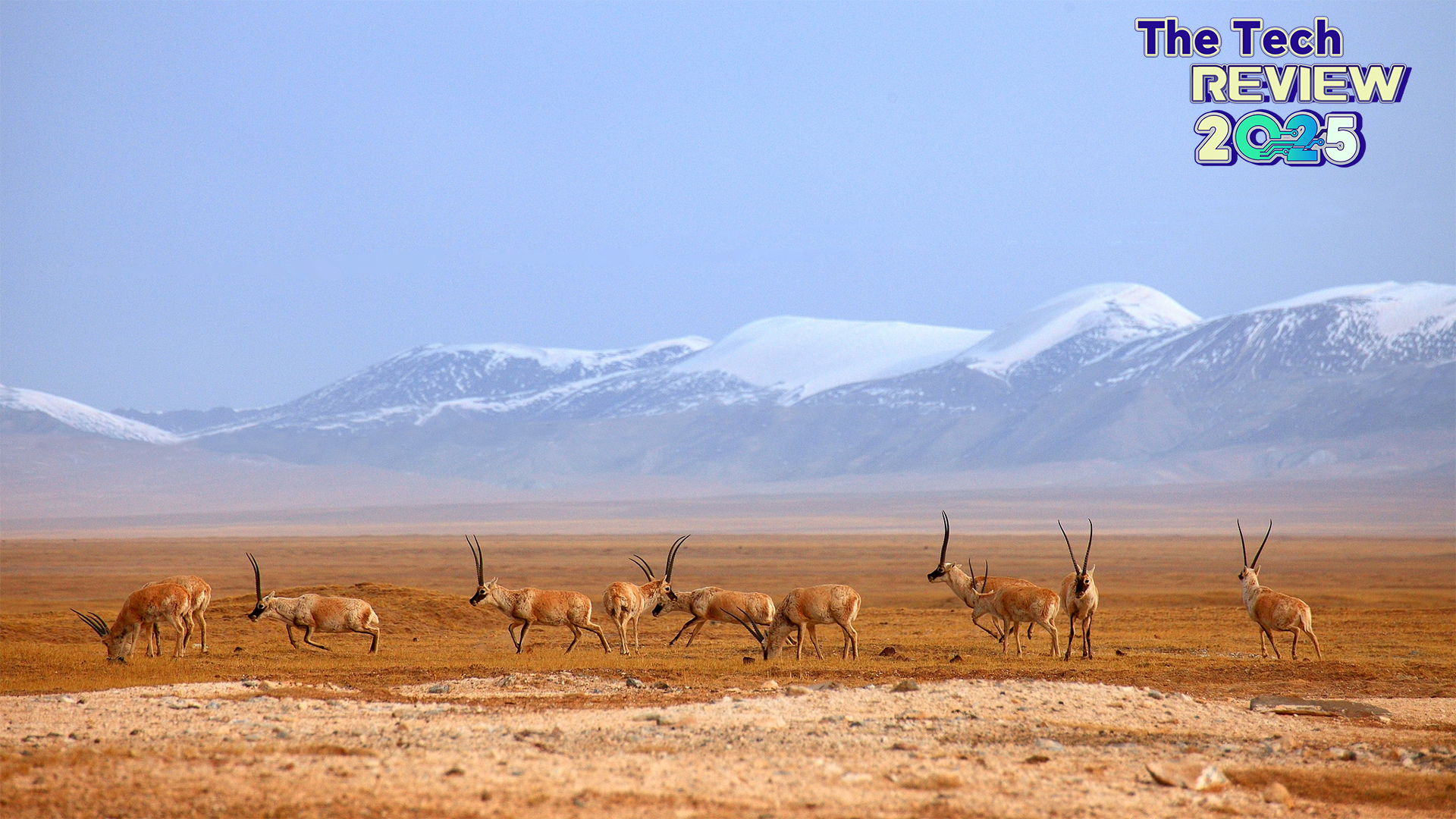 From freshwater to deep space: A 2025 review of biodiversity