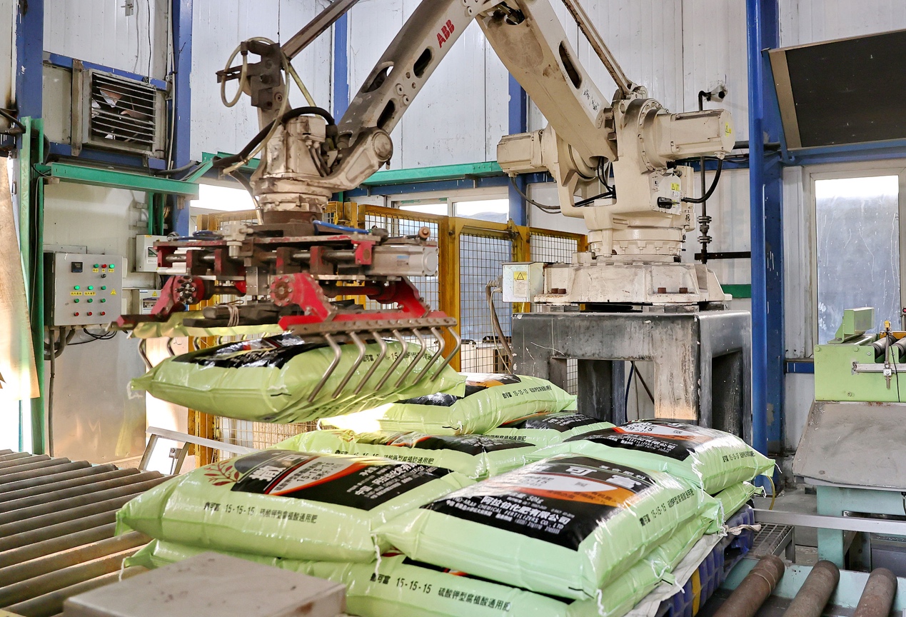 A robot loads fertilizers at a China-Arab fertilizer company in Qinhuangdao, north China's Hebei Province, January 20, 2025. /CFP