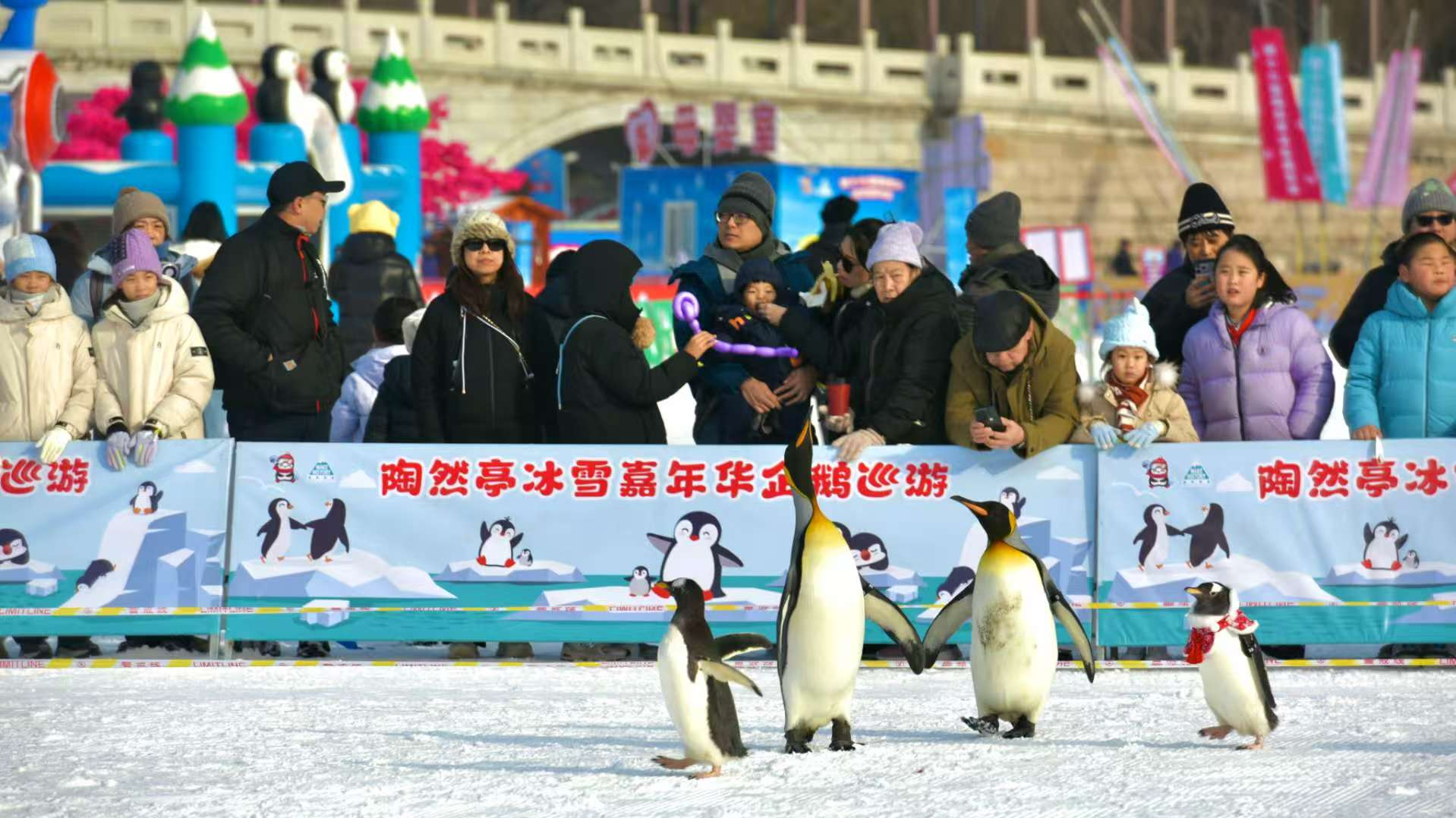 Live: Immerse yourself in the ice and snow carnival in Taoranting Park