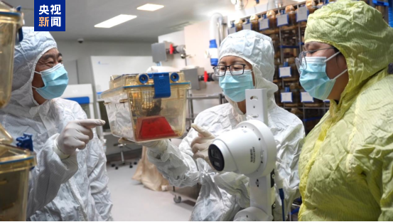 The researchers with the space mouse offspring. /CMG