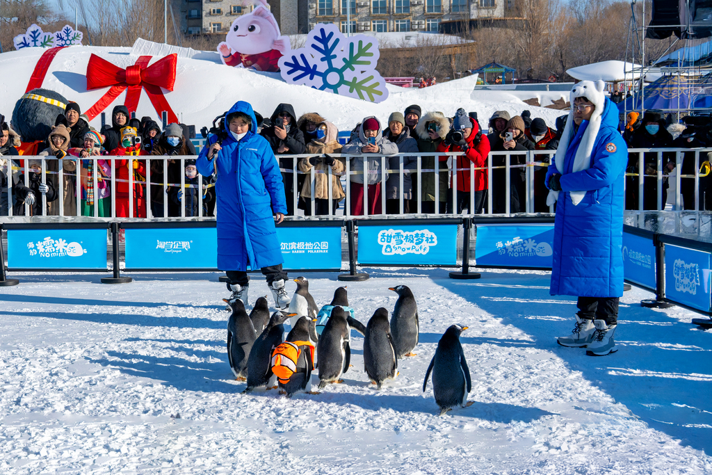 The grand opening ceremony of the 9th Ice Fishing and Hunting Nadam Fair is held at Lianhuan Lake in Daqing City, Heilongjiang Province, on December 27, 2025. /VCG
