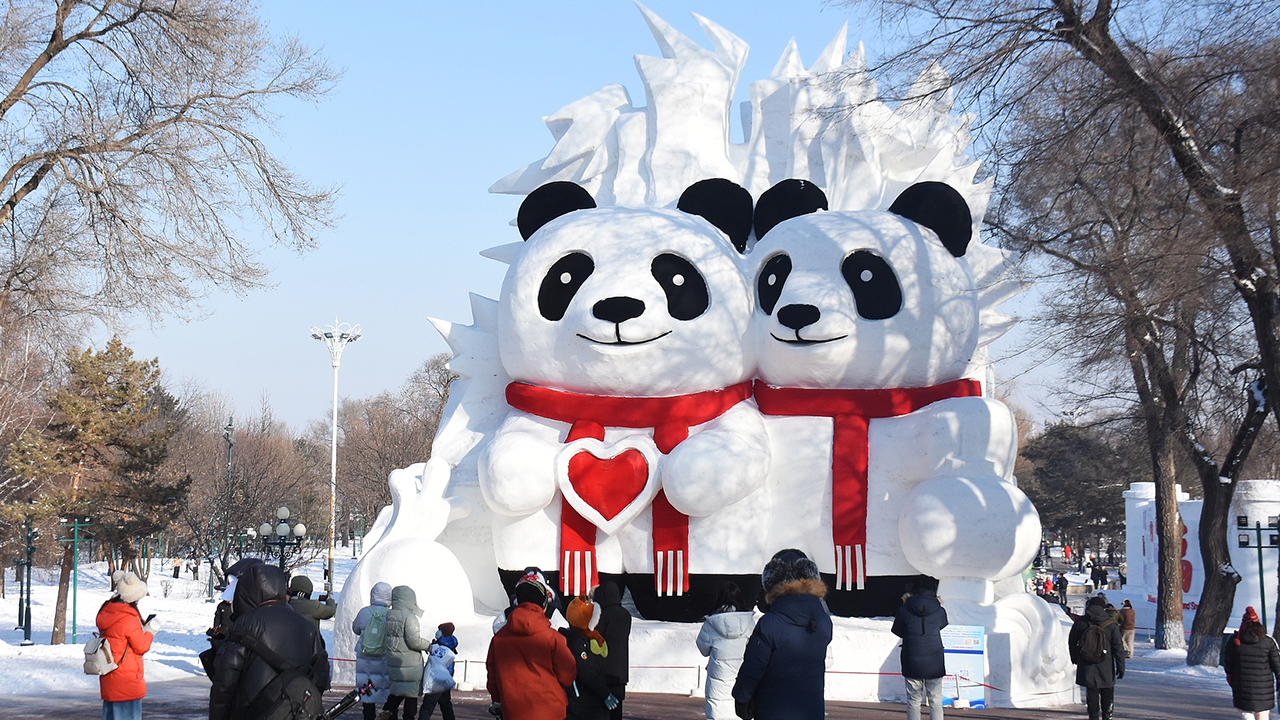 Harbin's Sun Island Snow Sculpture Expo unveils winter art wonderland