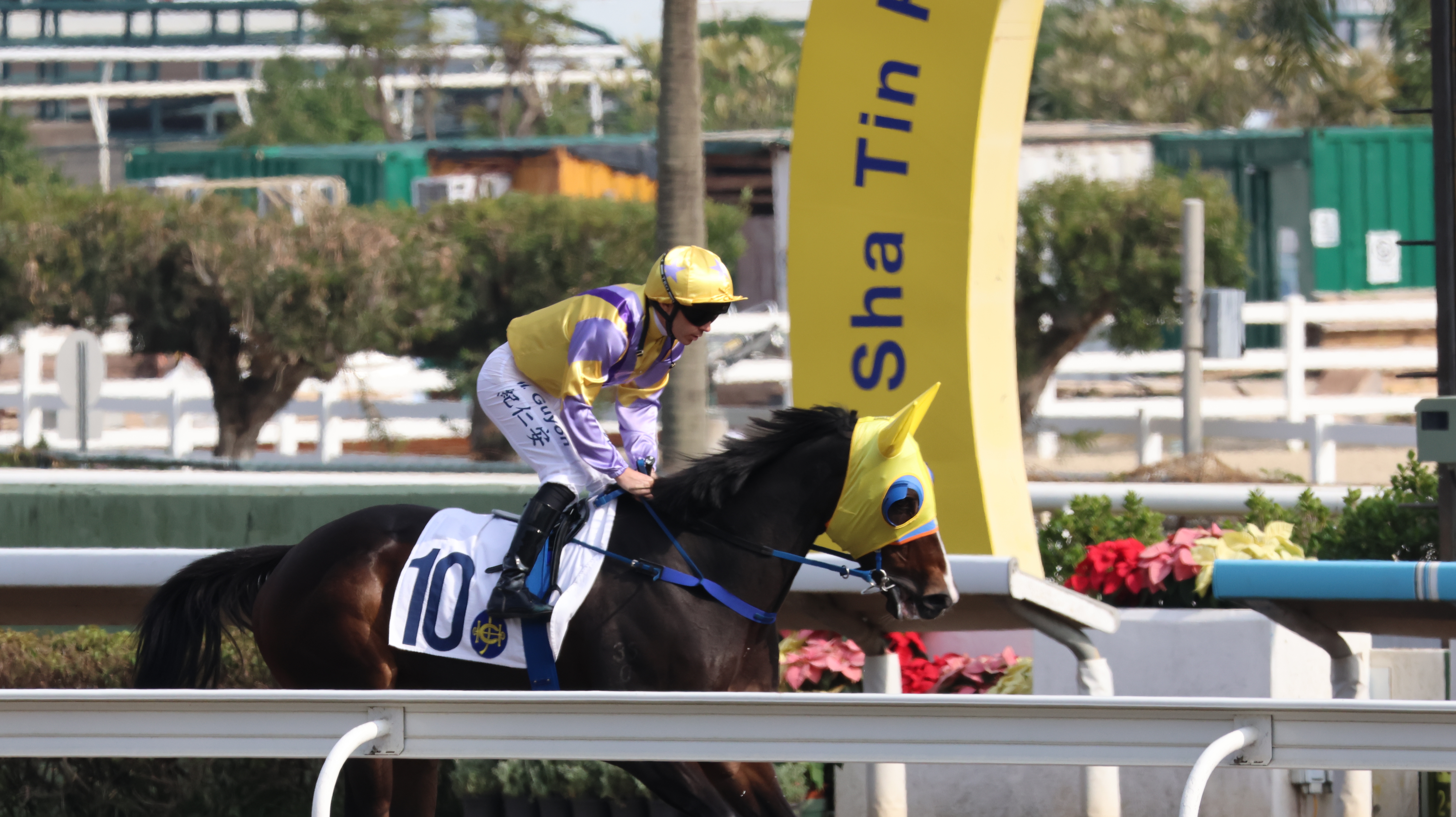 Hong Kong's last race day of 2025 unfolds at Sha Tin Racecourse, December 27, 2025. Lin Ziqi /CGTN