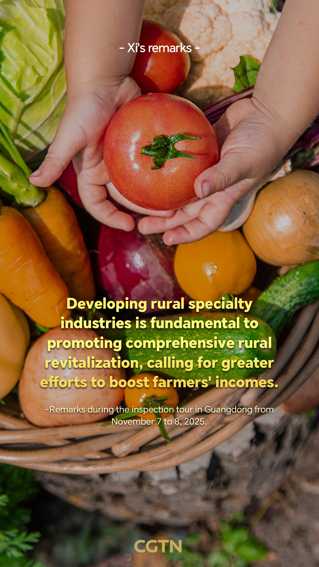 President Xi Jinping's key remarks on agriculture, rural areas and farmers