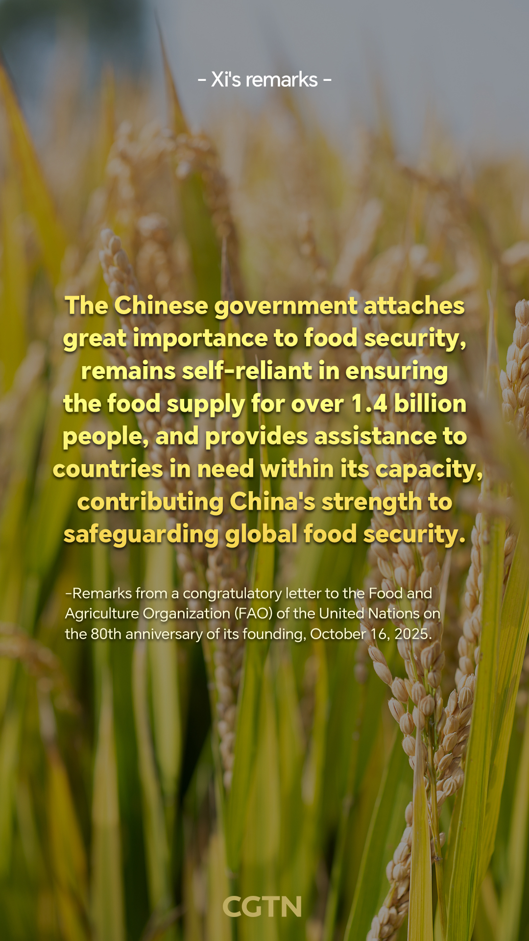 President Xi Jinping's key remarks on agriculture, rural areas and farmers