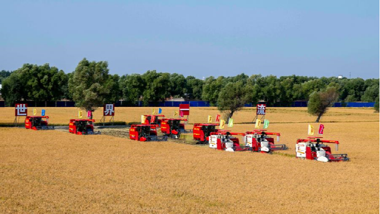 China's decadal leap in agricultural value chain modernization - CGTN