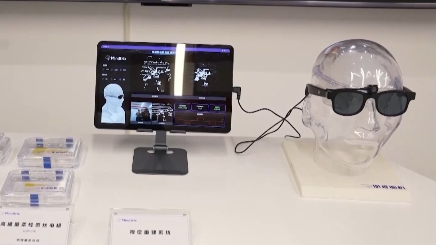 The visual reconstruction system using implanted BCI. /CMG