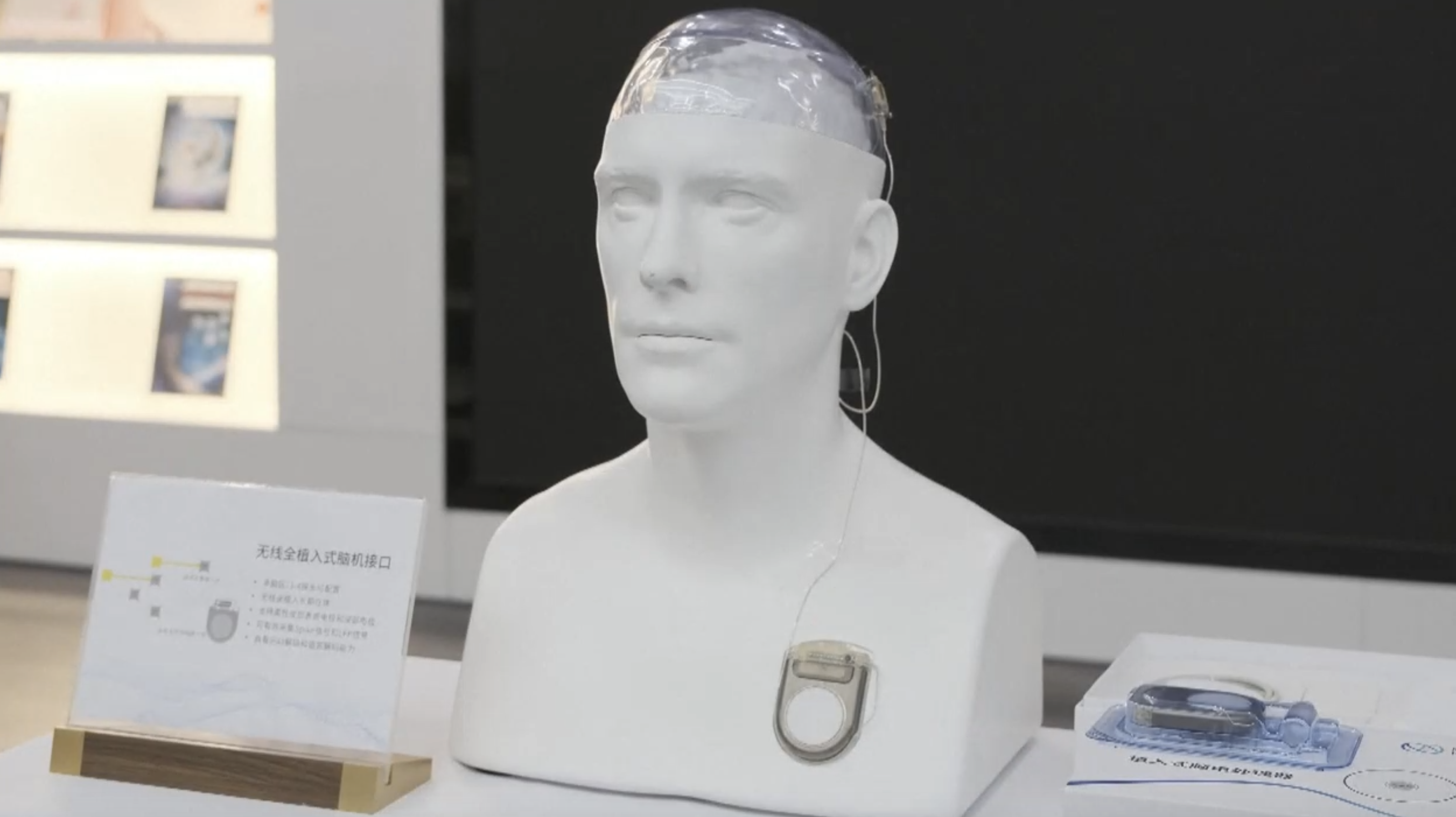 A fully implanted and wireless BCI device. /CMG