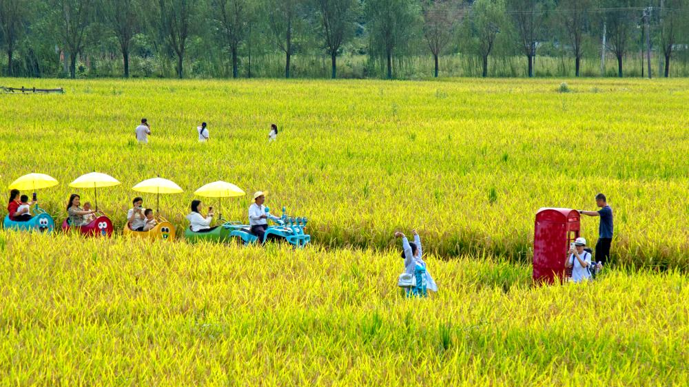 Tourists visit a scenic spot in Enshi City, central China's Hubei Province, October 5, 2025. /Xinhua