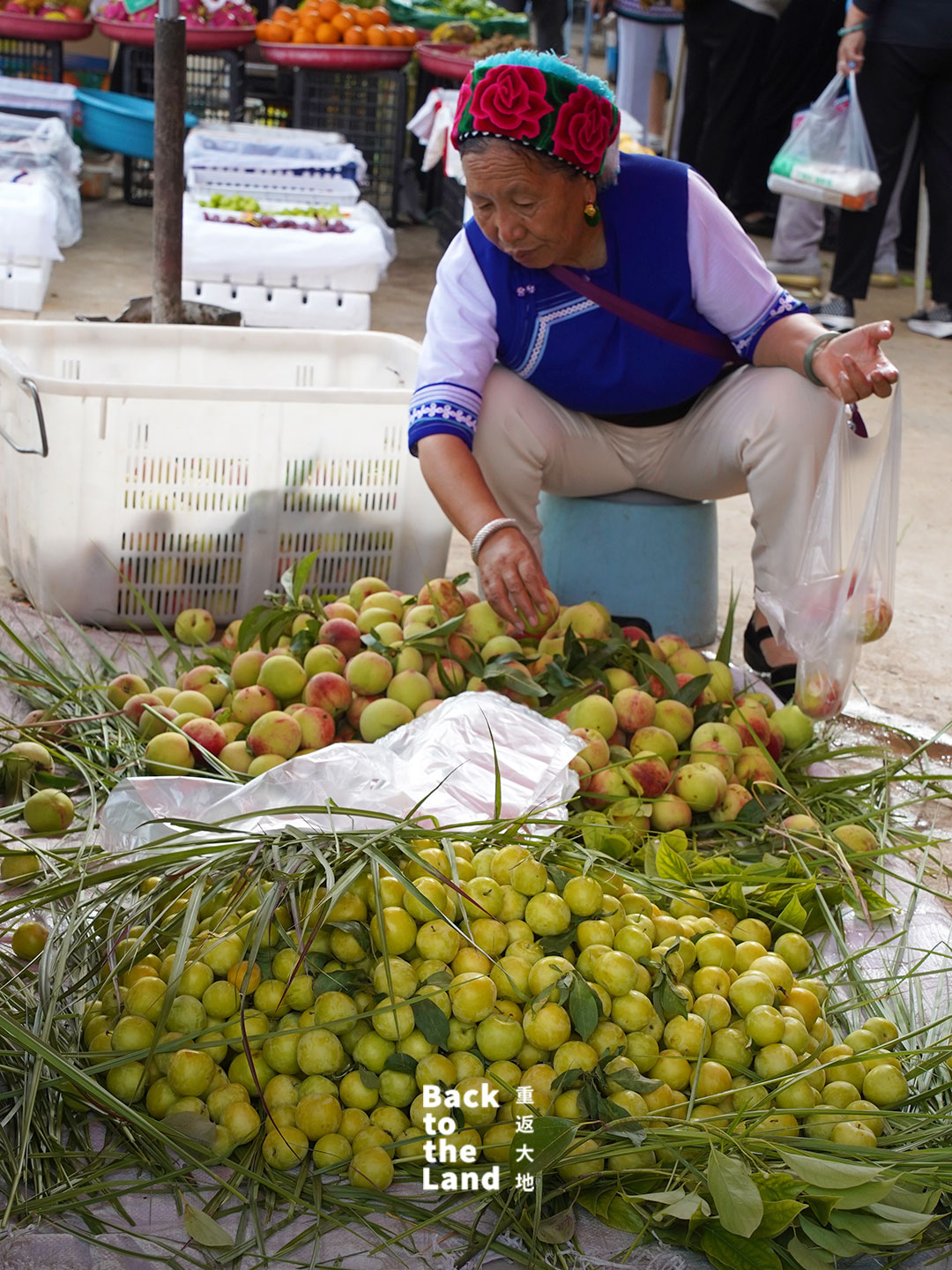 A lively morning market scene in Dali featuring local Bai grandmothers selling fresh seasonal produce and traditional ingredients. /CGTN