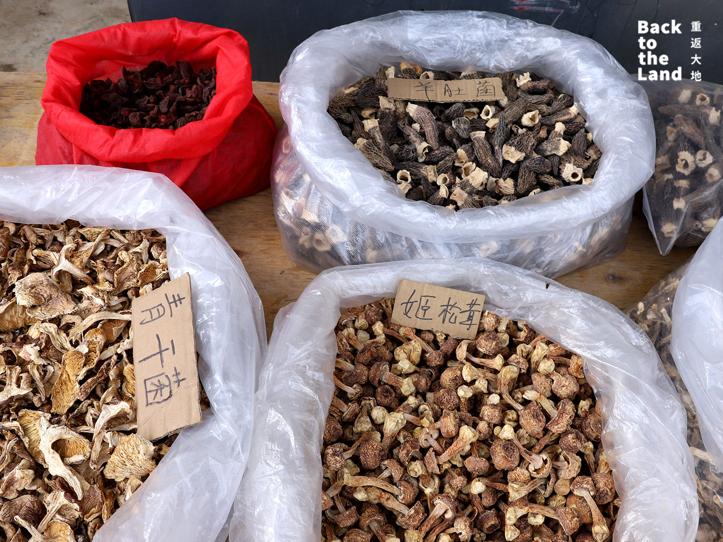A lively morning market scene in Dali featuring local Bai grandmothers selling fresh seasonal produce and traditional ingredients. /CGTN