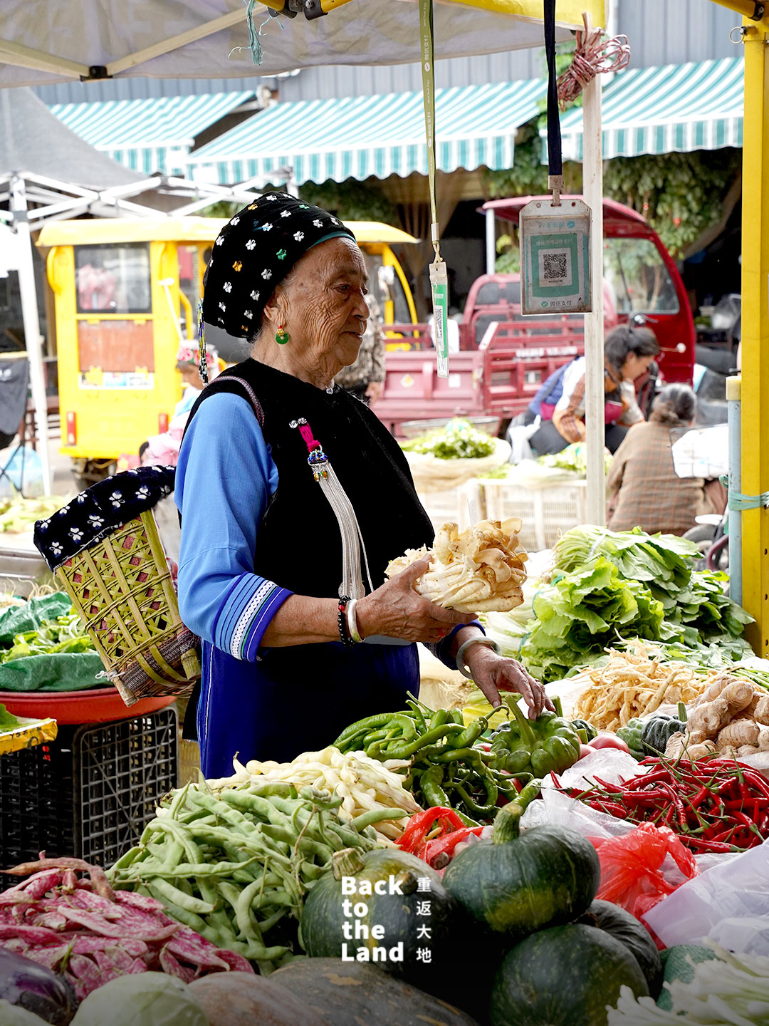 A lively morning market scene in Dali featuring local Bai grandmothers selling fresh seasonal produce and traditional ingredients. /CGTN
