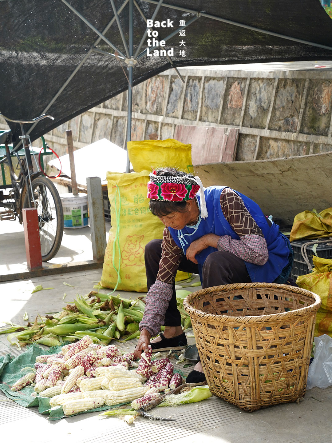 A lively morning market scene in Dali featuring local Bai grandmothers selling fresh seasonal produce and traditional ingredients. /CGTN