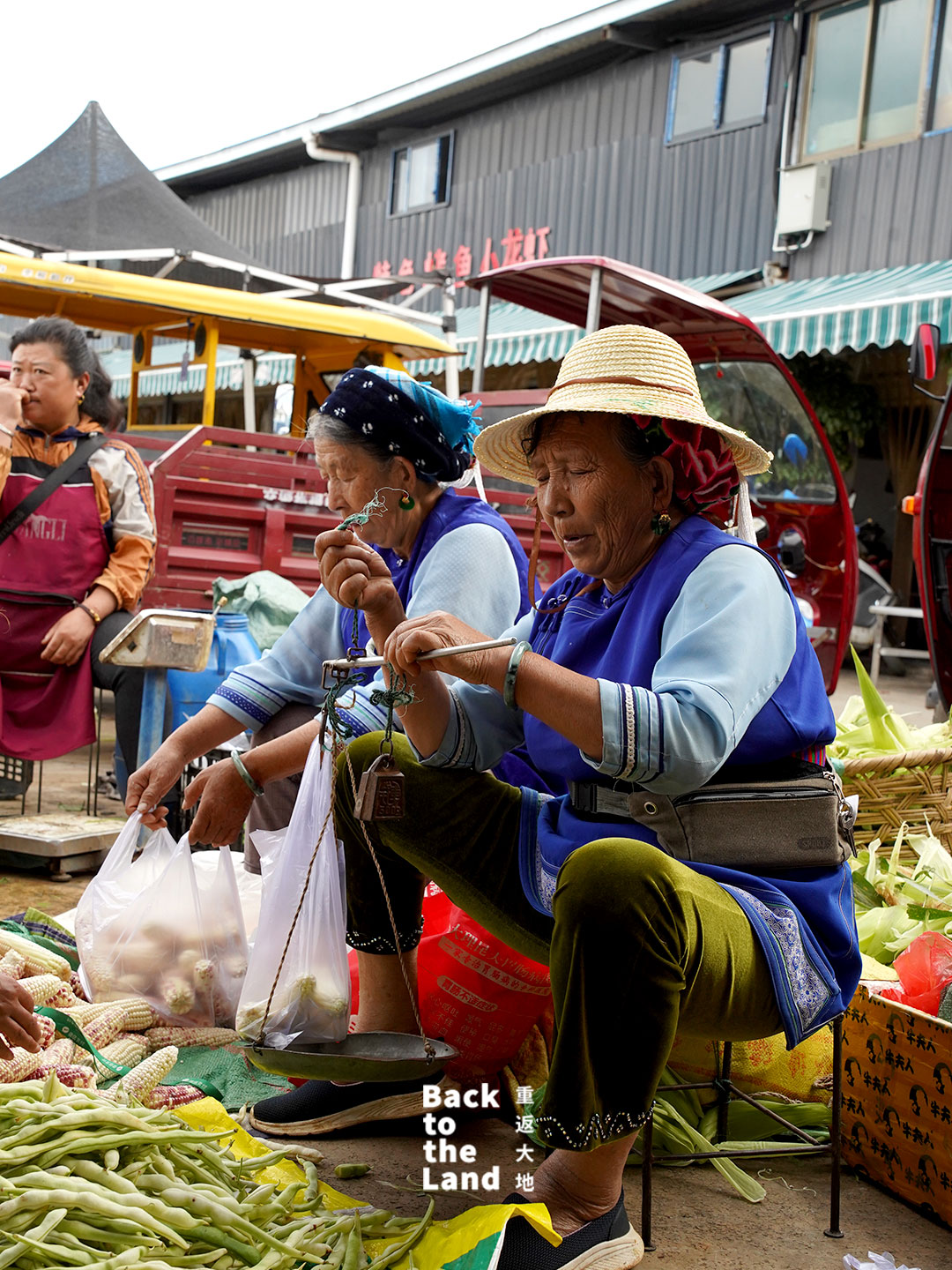 A lively morning market scene in Dali featuring local Bai grandmothers selling fresh seasonal produce and traditional ingredients. /CGTN