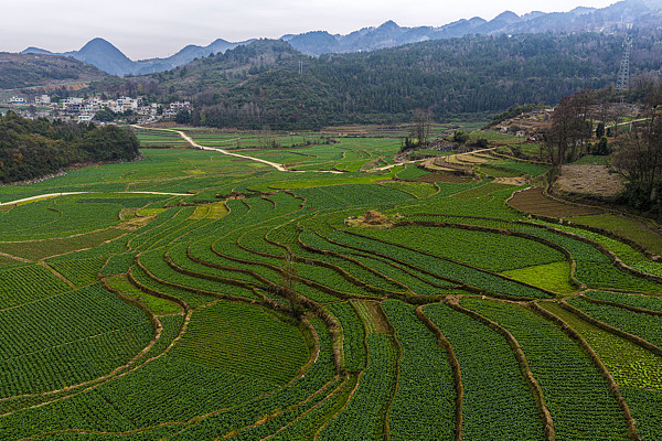 Farmland in Qianxi, China's Guizhou Province, December 26, 2025. /VCG