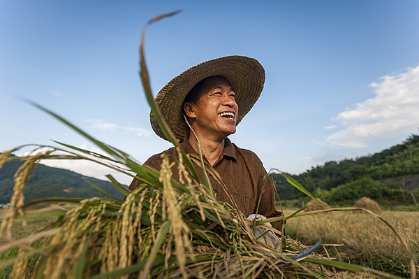 A Chinese farmer beams with joy for a bountiful harvest. /VCG
