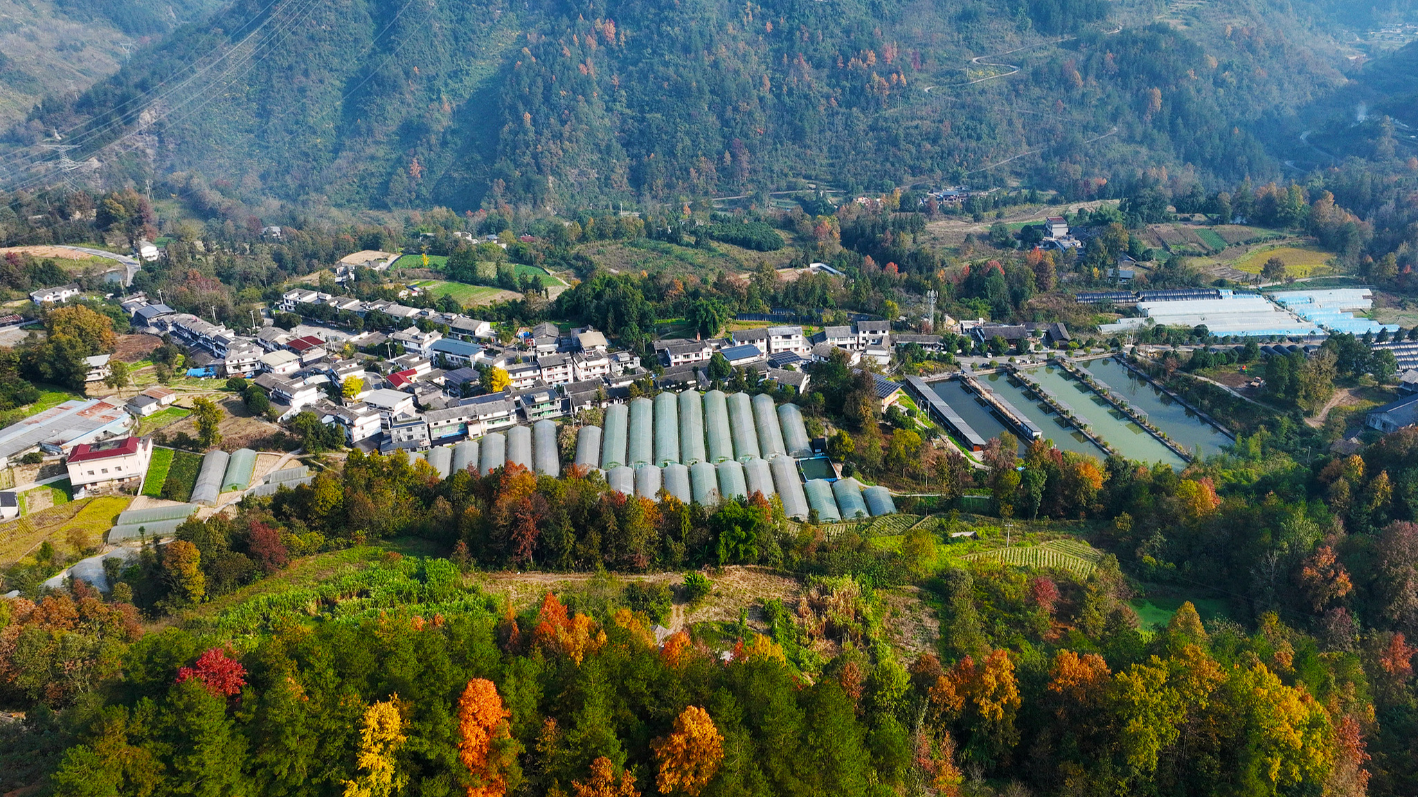 Anchoring rural revitalization through industrial development