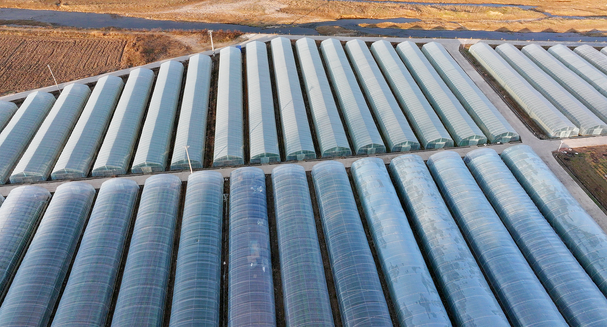 An aerial view of a 350-acre greenhouse-based ecological vegetable production base in the countryside of Shiyan City, Hubei Province, China, December 27, 2025. /VCG