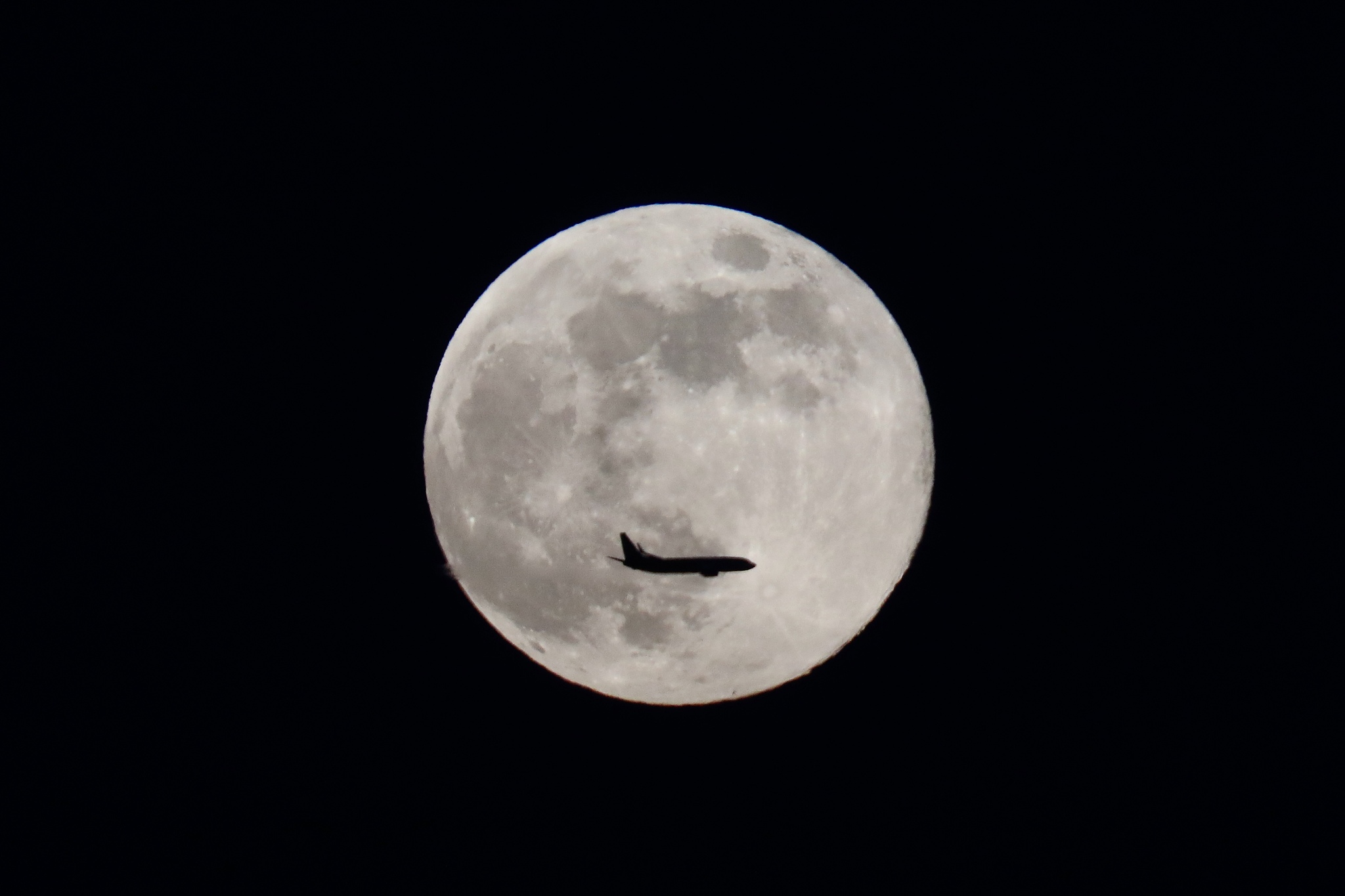 2026 wolf supermoon graces the sky