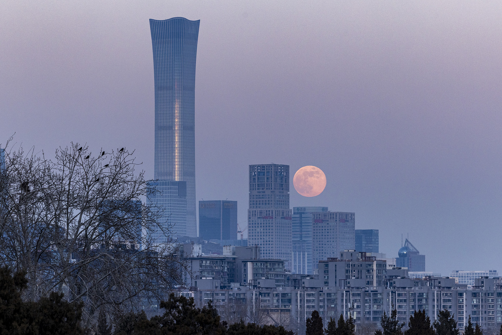 2026 wolf supermoon graces the sky