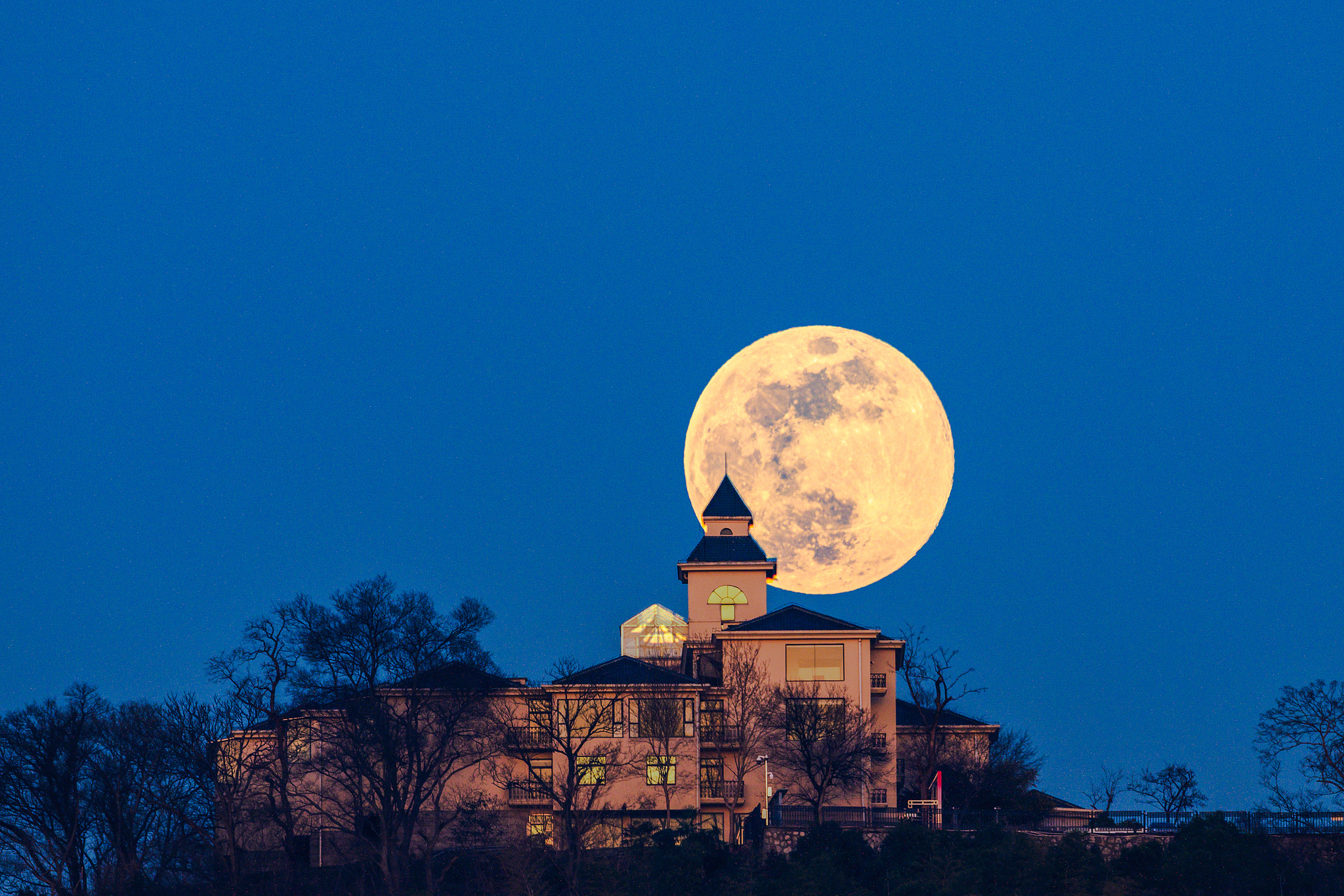 2026 wolf supermoon graces the sky