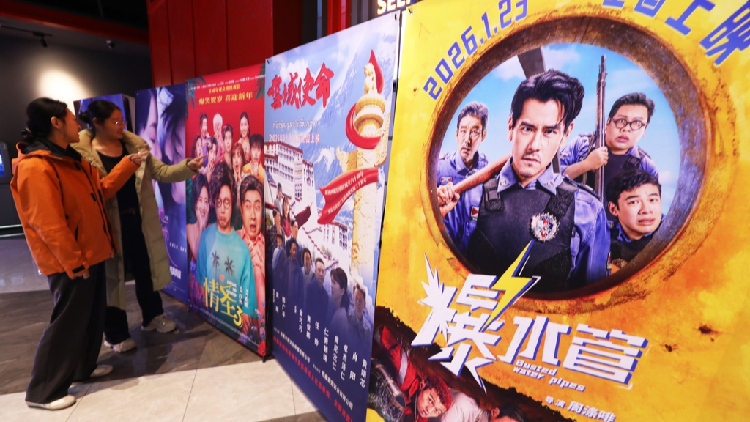 China's New Year holiday box office tops 730 million yuan