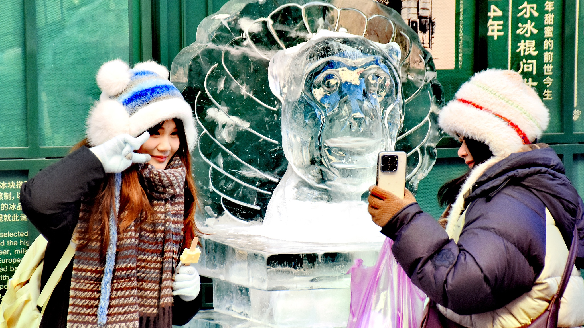 Vivid Chinese zodiac ice sculptures adorn Harbin street