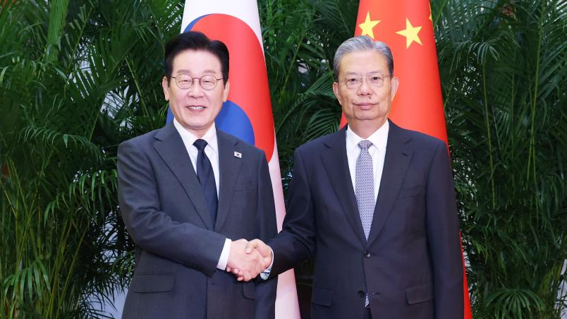 China's top legislator meets ROK president
