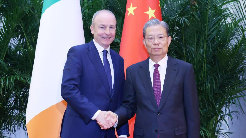 China's top legislator meets Taoiseach of Ireland