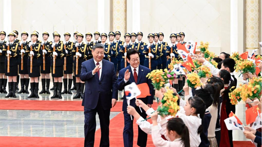 How China, ROK deepen strategic cooperation as leaders meet in Beijing