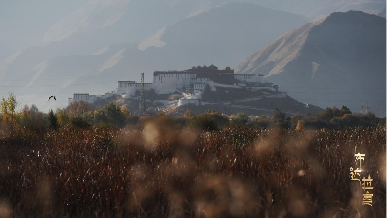 The Lhalu Wetland with Potala Palace as a backdrop, Lhasa, Xizang Autonomous Region, China. /CGTN