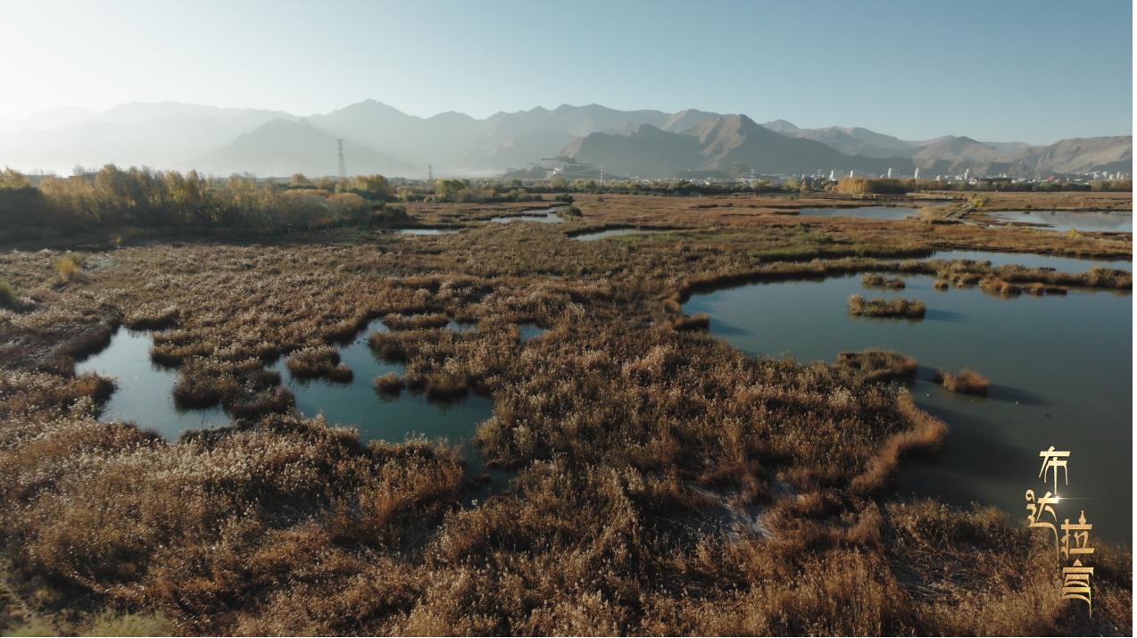 The Lhalu Wetland with Potala Palace as a backdrop, Lhasa, Xizang Autonomous Region, China. /CGTN