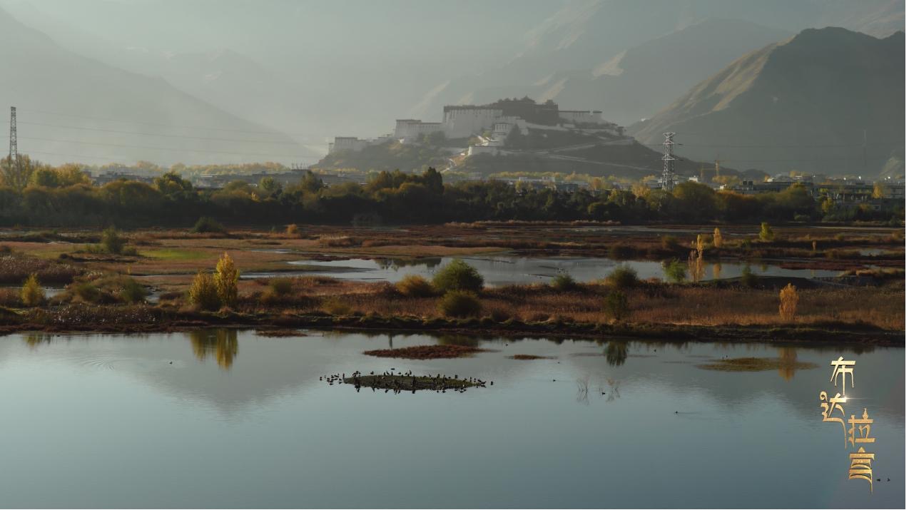 The Lhalu Wetland with Potala Palace as a backdrop, Lhasa, Xizang Autonomous Region, China. /CGTN