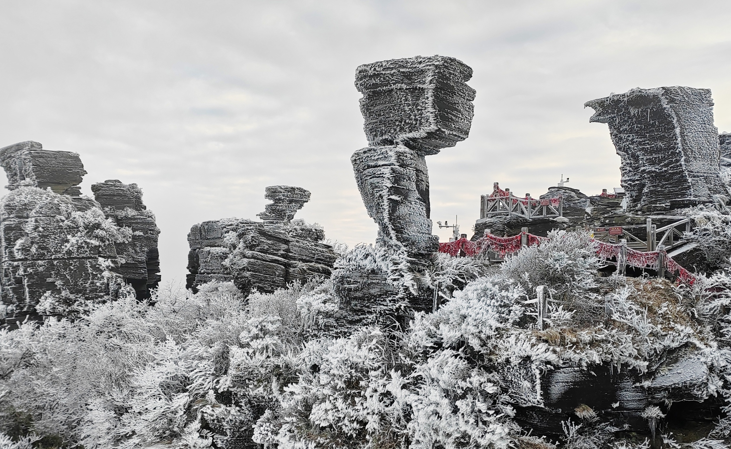 Rime covers the landscape at Mount Fanjing in southwest China's Guizhou Province on January 6, 2026. /Tongren Media Convergence Center