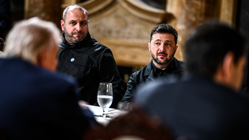 Zelenskyy seeks new Trump meeting as negotiators tackle land issue