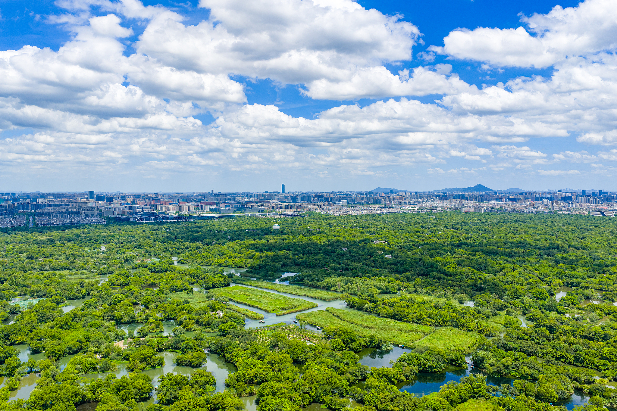 Xixi National Wetland Park, Hangzhou, Zhejiang Province, east China, August 14, 2025. /VCG