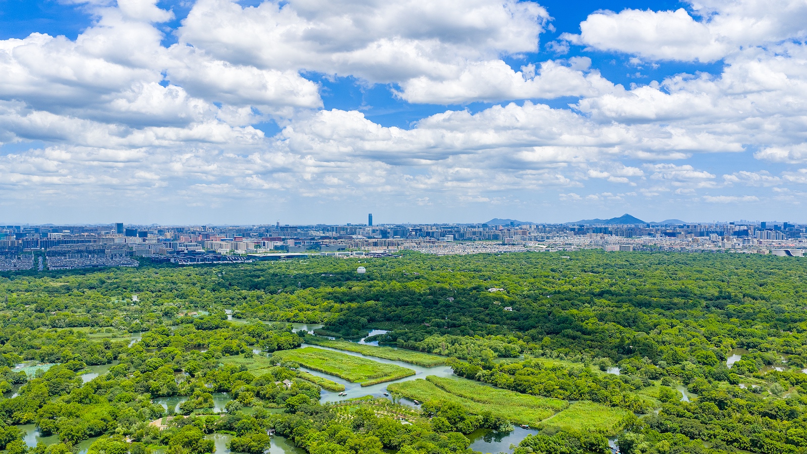 China's Hangzhou among UN's top 20 zero-waste cities globally