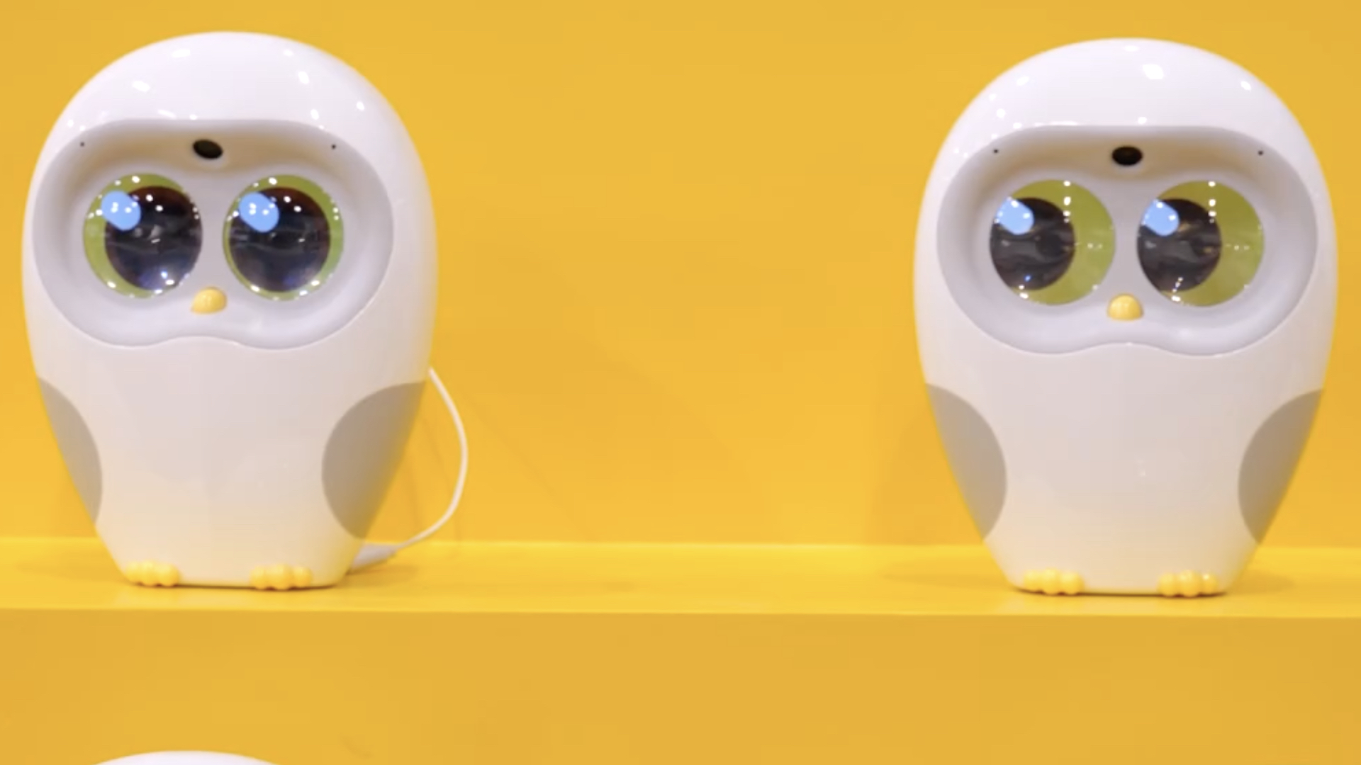 Personal intelligent terminals exhibited at the CES in Las Vegas, the United States, January 8, 2026. /CMG