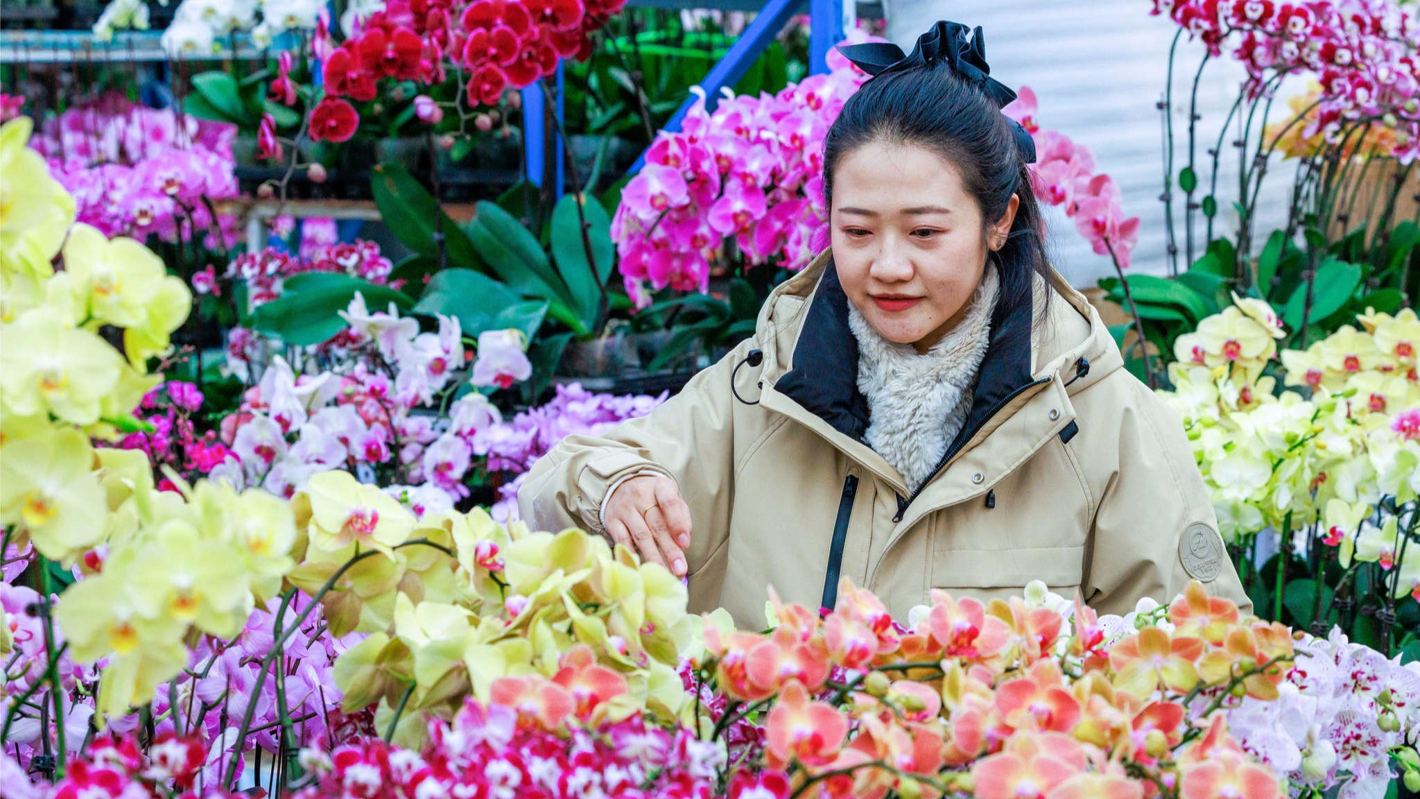 Festival rush brings blooming business to Xinjiang flower market