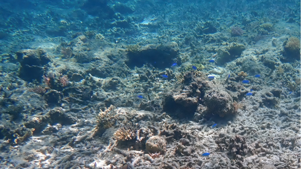 World's oceans stored more extra heat in 2025 than ever before