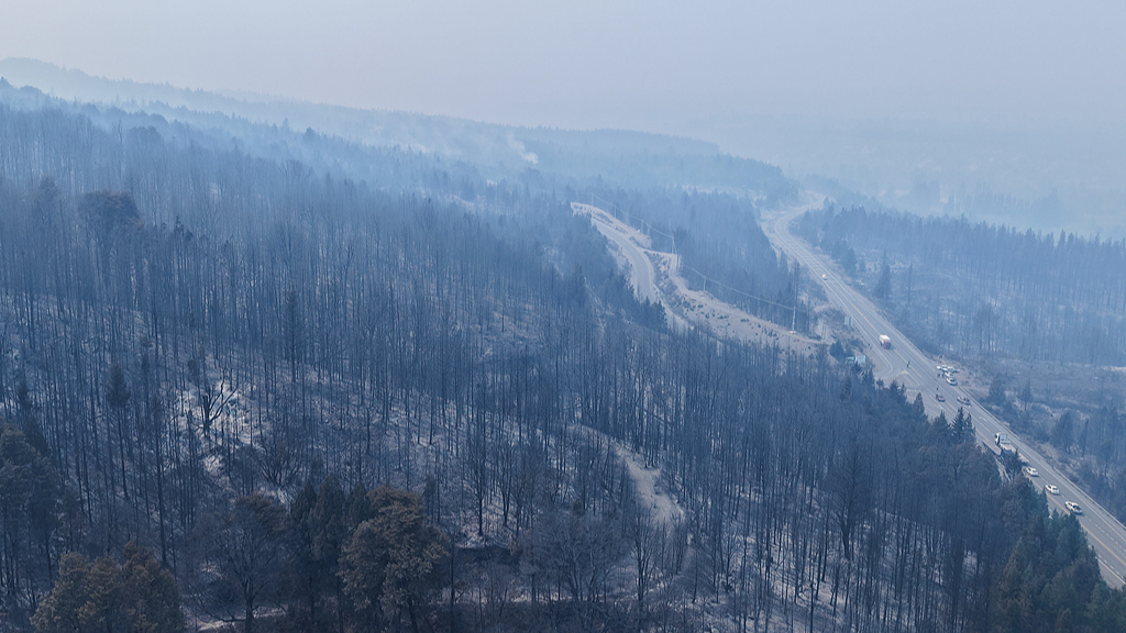 Charred trees stand after wildfires in Epuyen, Patagonia, Argentina, Friday, January. 9, 2026. /VCG