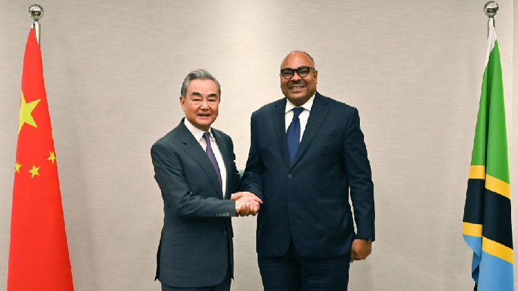 Chinese FM puts forward proposals to further deepen China-Africa ties