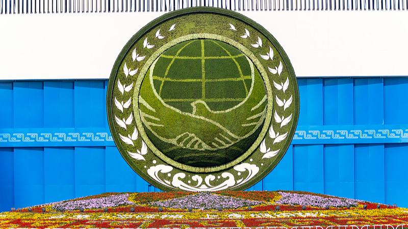 How China-proposed GGI offers alternative to 'capricious bullying'