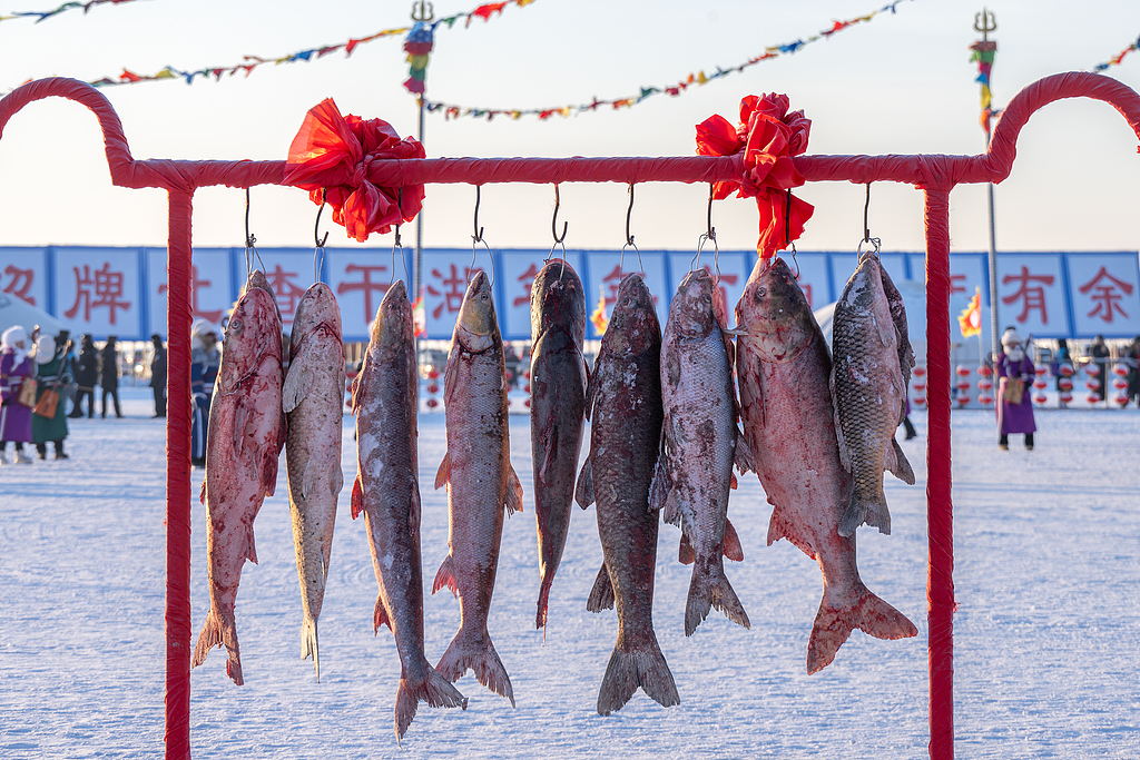 The season's first fish are on display, ready for auction on Chagan Lake in Songyuan, Jilin Province, January 8, 2026. /VCG