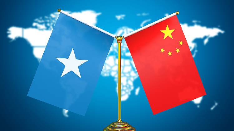 China vows consistent support for Somalia in safeguarding sovereignty