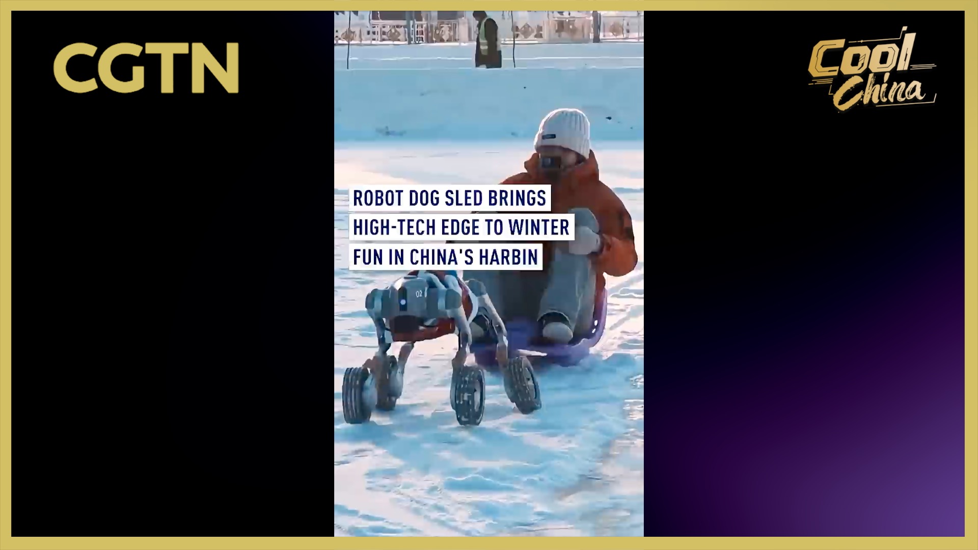 Robot dog sled brings high-tech edge to winter fun in China's Harbin