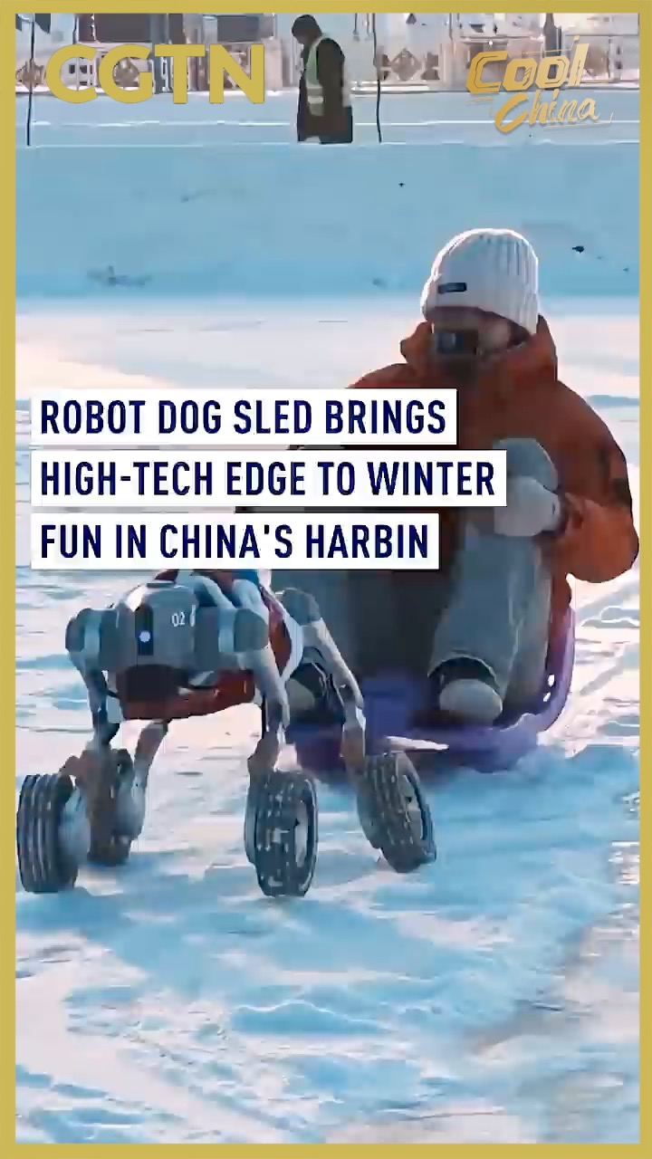 Robot dog sled brings high-tech edge to winter fun in China's Harbin