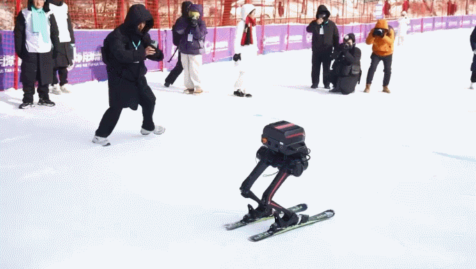 Brrr! Robots' ice and snow competition at minus 20°C