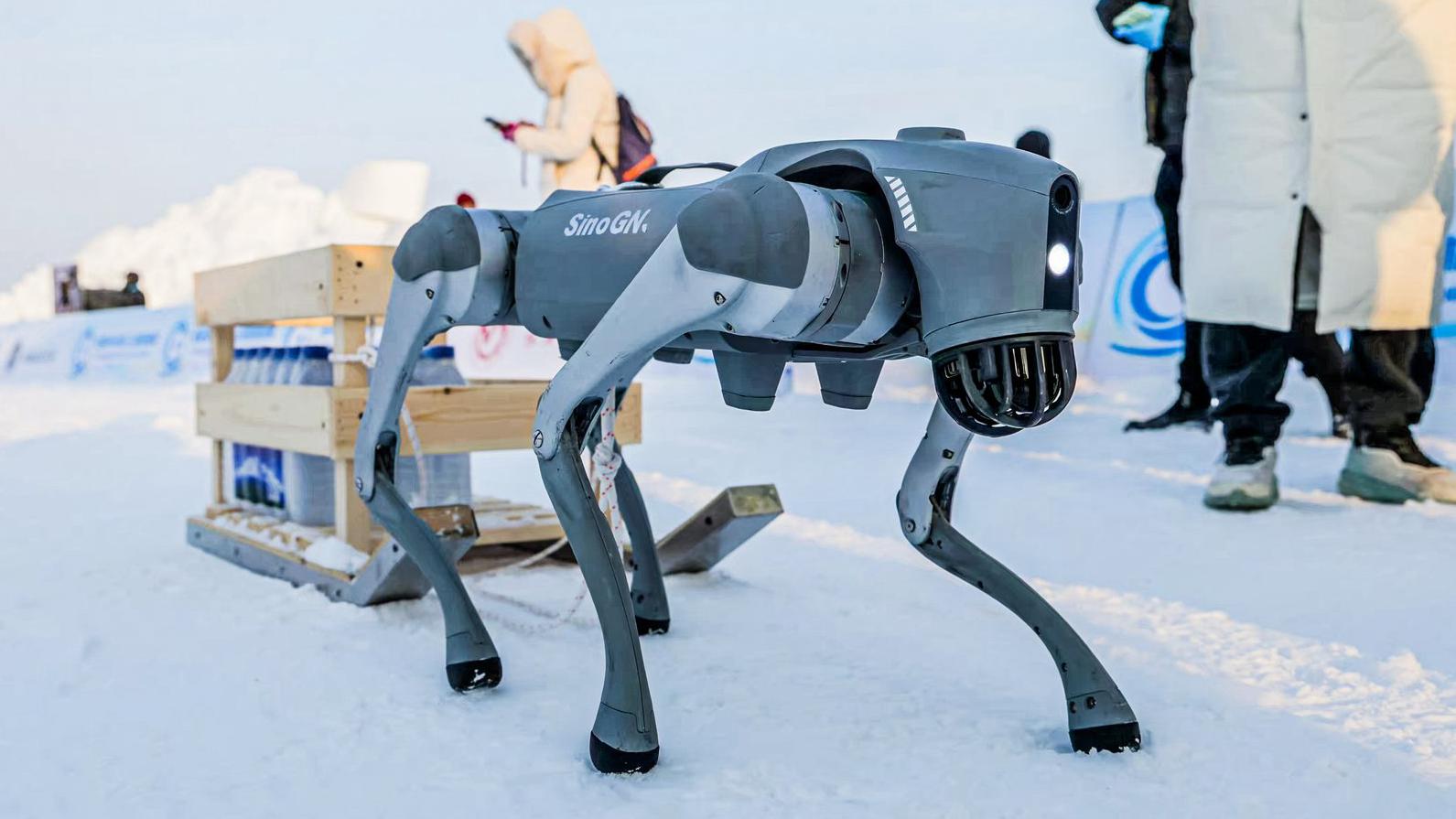 A robot dog pulls a sled. /CMG