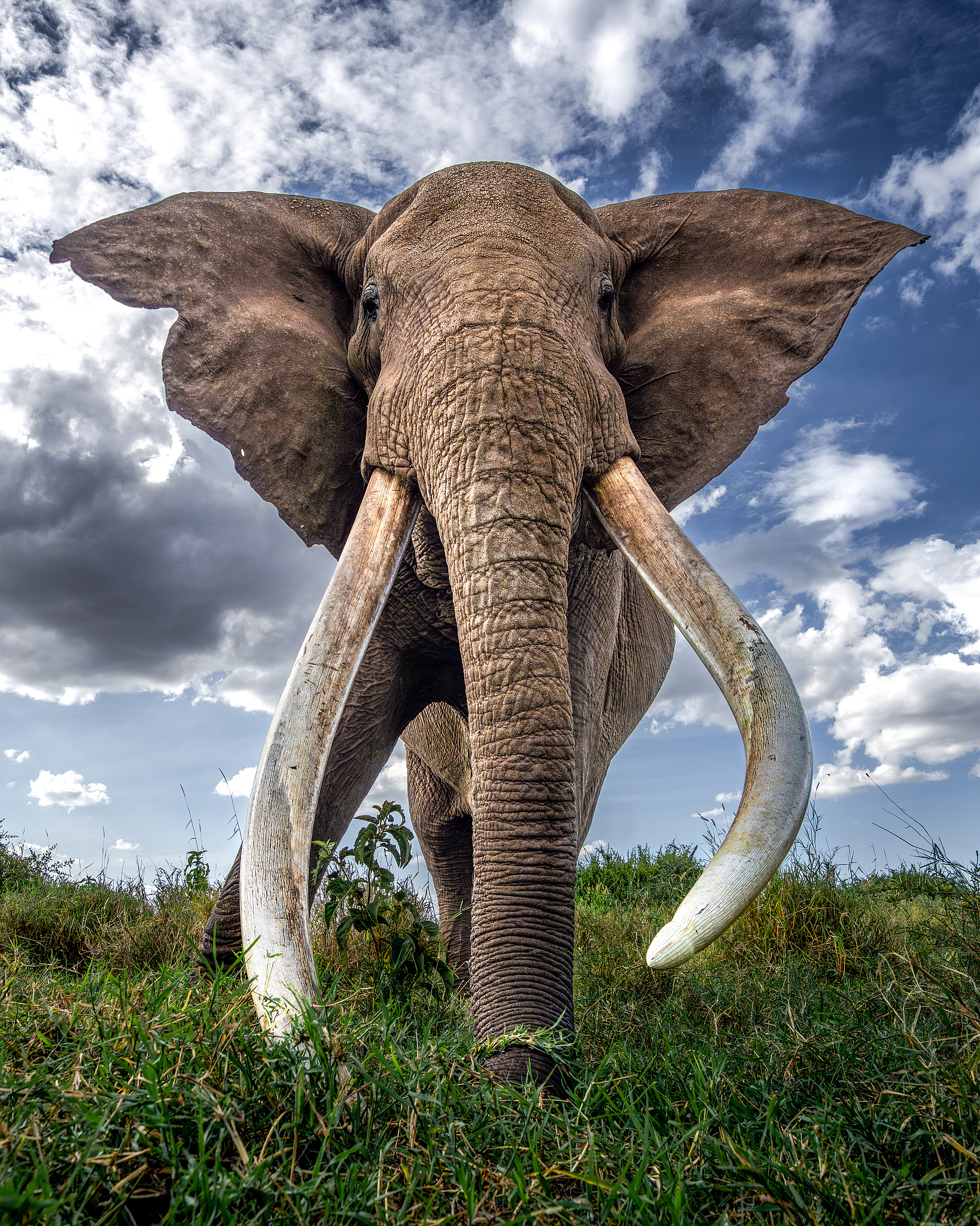 Craig in Amboseli National Park, Kenya. /VCG